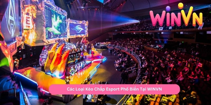 Các Loại Kèo Chấp Esport Phổ Biến Tại WINVN